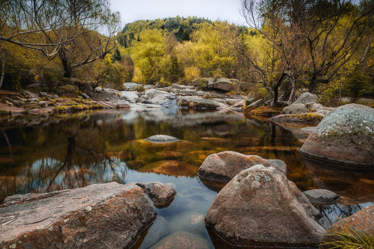 Learn about all the fauna and flora around the Sport Hotel Hermitage & Spa.